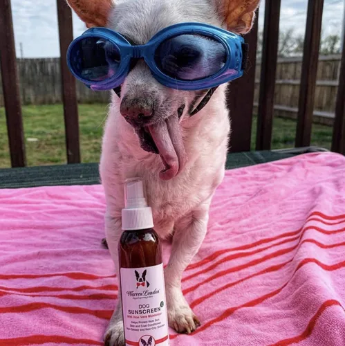 Vista 5 de Warren London Protector solar para perros con Aloe Vera I Chupete de piel de perro I Puppy Sunblock I Made in USA - 4oz