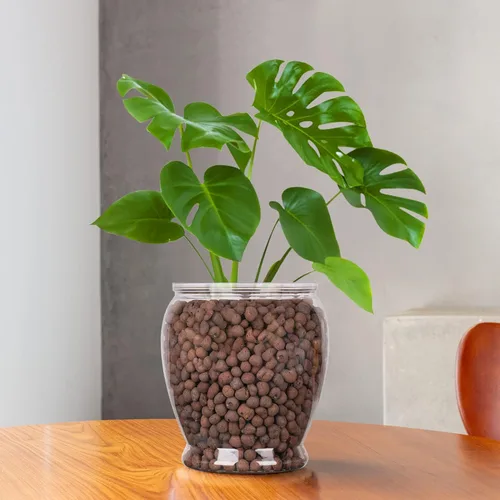 Vista 7 de GASPRO 5lb de bolas de arcilla expandida orgánicas para plantas, 100% naturales, bolas Leca para el desarrollo de raíces en macetas, mezcla