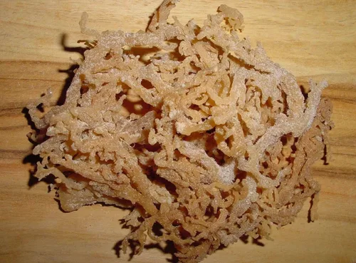 Vista 4 de Musgo marino orgánico (RAW) 1 LB - Irish Moss DR SEBI NDQ