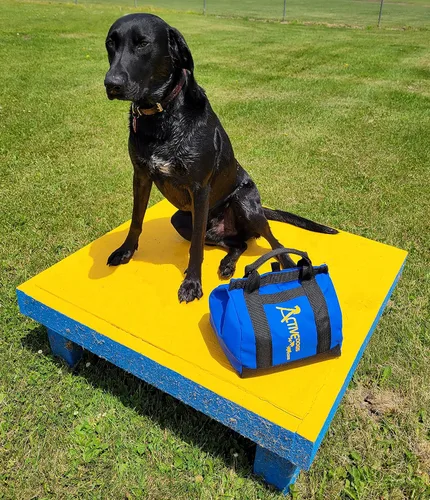 Vista 2 de ActiveDogs Agility - Bolsa de arena grande de baja gravedad, capacidad de bolsa de 20 #, alforja no restrictiva para estabilizar el túnel