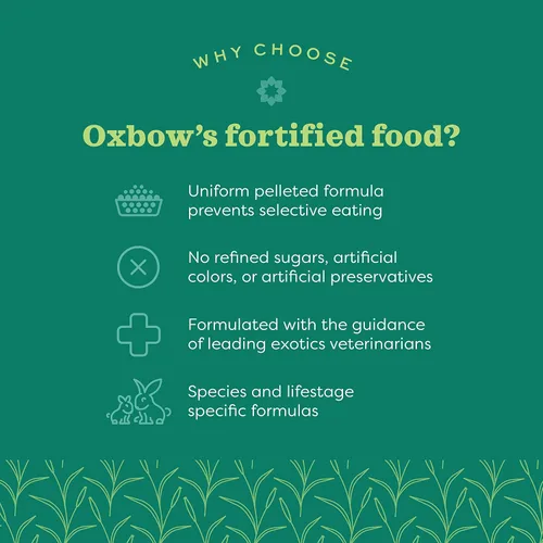 Vista 3 de Oxbow Essentials Alimento para Conejos, Conejo Joven, Hecho con Heno de Alfalfa Oxbow, Pellets de Alimento para Mascotas con Vitaminas y Minerales