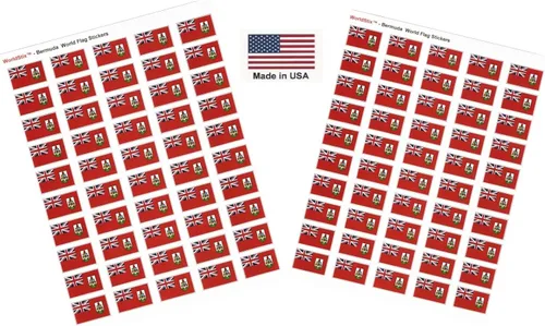 Vista 87 de 100 calcomanías de la bandera de Afganistán, dos hojas de 50, 1.5" x 1" hechas en Estados Unidos, calcomanías autoadhesivas para álbum de recortes