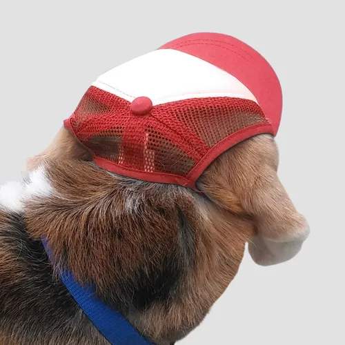 Vista 2 de PupLid Sombreros de camionero para perros (pequeños), protección solar elegante de alta calidad para el perro moderno, ajustables para un ajuste