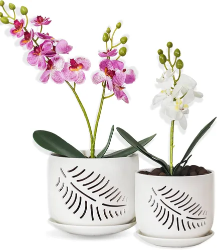 Vista 11 de Macetas para orquídeas LITUDISO, 5+6 pulgadas, blancas, de cerámica, aireadas, para interior/exterior, 7 pulgadas de ancho/altura, paquete de 2