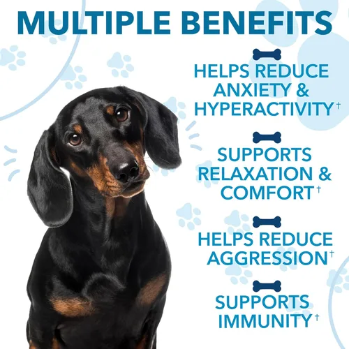 Vista 5 de Masticables calmantes de cáñamo para perros con ansiedad y estrés, masticables para aliviar la ansiedad para tormentas, fuegos artificiales