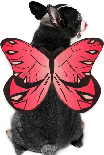 Vista 8 de Disfraz de mariposa para perro y gato, disfraz de alas de mariposa para perros pequeños, medianos y grandes, disfraz de perro para Halloween