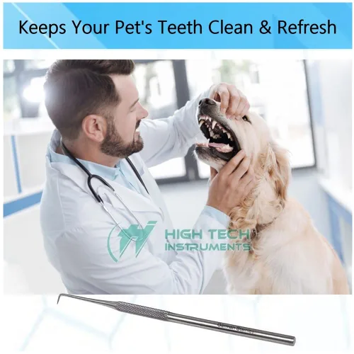 Vista 5 de Sonda dental Explorer #90 hecha de acero inoxidable reutilizable herramienta placa y removedor de sarro de dientes punta en ángulo adecuado para uso