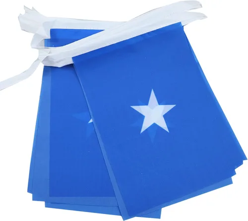 Vista 75 de Guatemala 19.7 ft BUNTING Flag 20 banderas 9'' x 6'' - Banderas de cuerda guatemalteca 5.9 x 8.3 in - AZ FLAG