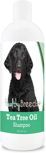 Vista 144 de Healthy Breeds Chow Chow Champú de aceite de árbol de té, formulado para pieles secas e irritadas, reduce la caspa, aroma de gaulteria, 8 onzas