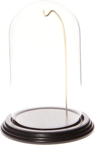 Plymor Cúpula de exhibición de cristal de reloj/adorno de 4 "x 7"