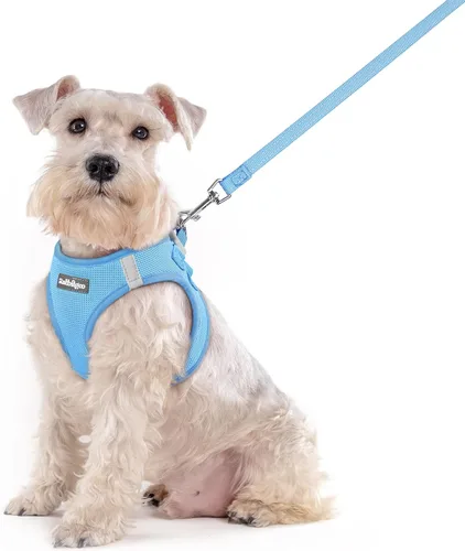 Vista 92 de rabbitgoo Juego de arnés para perro, tamaño pequeño y correa, chaleco ligero suave para cachorro, arnés de malla transpirable para mascotas, Negro