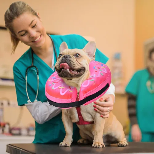 Vista 7 de Katoggy Collar Inflable de Cono para Perro para Después de la Cirugía, Collar de Recuperación en Forma de Dona Hinchable para el Cuello del Perrito
