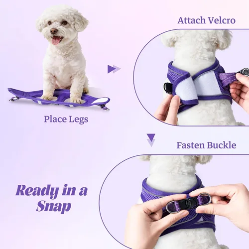 Vista 47 de YIMEIS Juego de arnés y correa para perro, arnés de malla suave sin tirones, chaleco reflectante ajustable para cachorros para perros pequeños, Azul