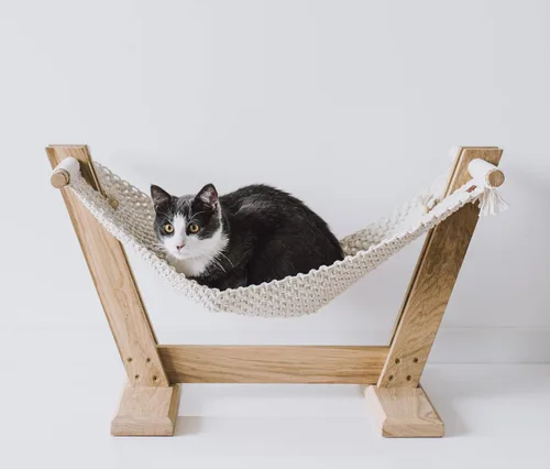 Vista 4 de NOANTA - Cuerda de macramé color verde aguacate, 2 mm x 220 yardas, cuerda de algodón colorido para colgar en la pared, ganchos de plantas