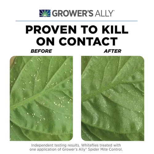 Vista 2 de Grower's Ally Concentrado de control de ácaros araña, insecticida natural y asesino de ácaros para plantas de interior y exterior, con certificación