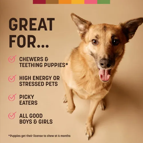 Vista 53 de Earth Animal Masticables sin ocultar – de The Grill Rolls Bacon Cheeseburger Sabor Rawhide Free Medium Dog Chews – 3