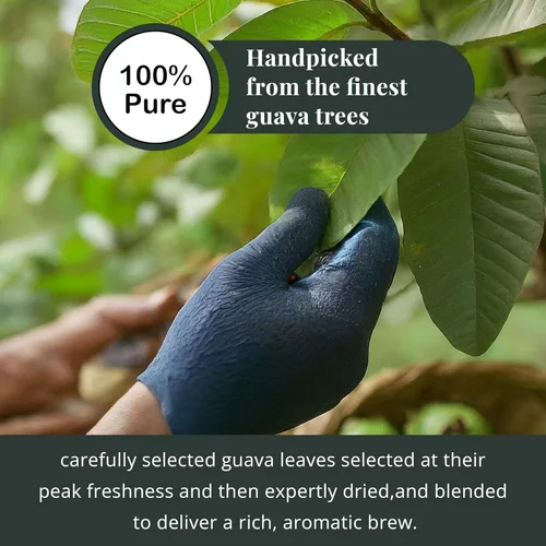 Vista 5 de Akshit Té de hoja de guayaba, 150 bolsas de té, té de hojas de guayaba 100% natural, hojas de guayaba, té de hierbas sin azúcar, sin cafeína, sin