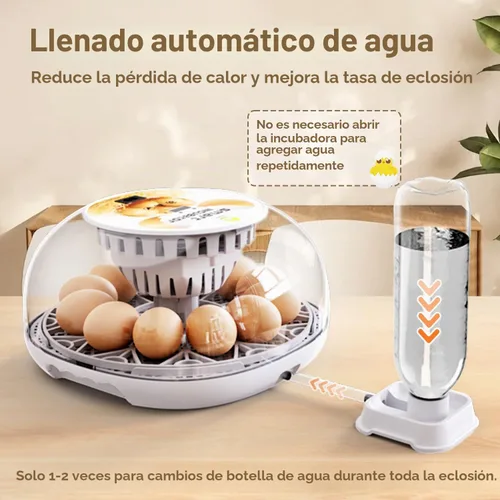 Vista 4 de Incubadoras para incubar huevos con giro automático de huevos, control automático de temperatura, pantalla de humedad, vela LED de huevos Naranja