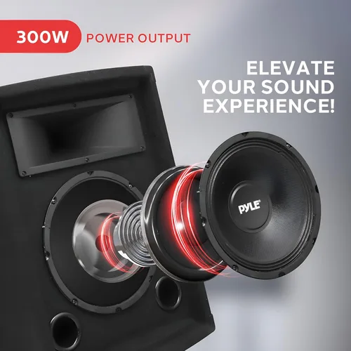 Vista 2 de PYLE-PRO PADH1079 – 500 W 10 pulgadas Gabinete de altavoces de dos vías