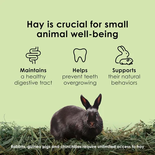 Vista 5 de Kaytee Timothy - Cubos de mezcla de heno para conejos, cobayas, chinchillas y otros animales pequeños, 1 libra