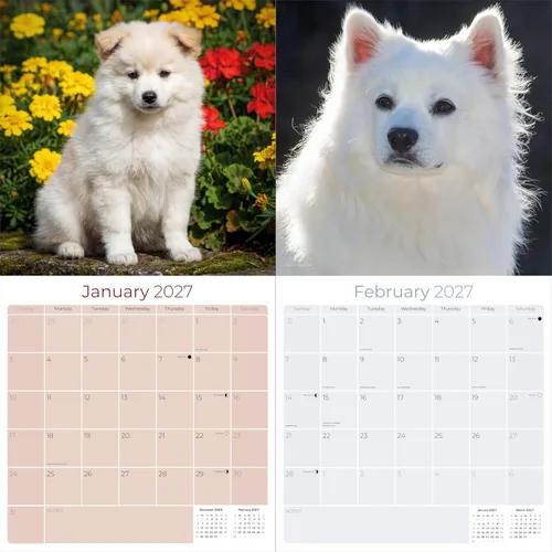 Vista 2 de Razas de Perros 2017 ESKIMO AMERICANO