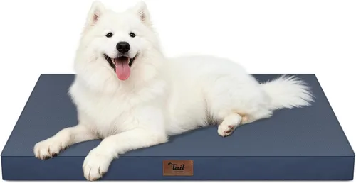 Vista 99 de Cama para perros y gatos pequeños, impermeable, para jaula de huevos, espuma ortopédica con funda Oxford lavable y extraíble, color verde Amy