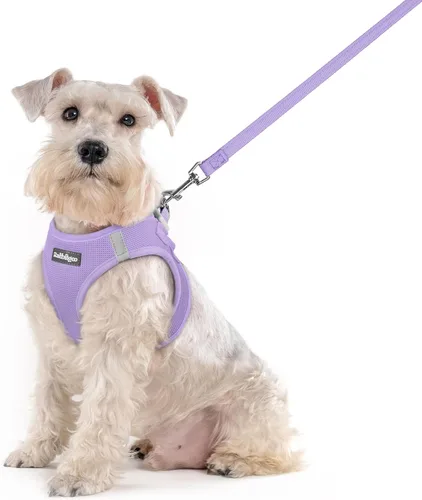 Vista 116 de rabbitgoo Juego de arnés para perro, tamaño pequeño y correa, chaleco ligero suave para cachorro, arnés de malla transpirable para mascotas, Negro