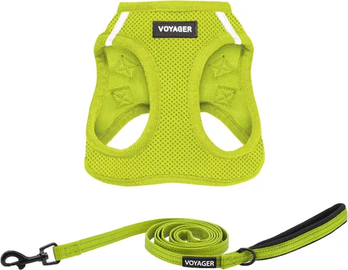 Vista 22 de Best Pet Supplies - Arnés Voyager Step-in Air de malla y correa reflectante para perro de 5 pies, apta para todos los climas, con mango de neopreno