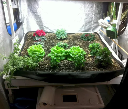 Vista 4 de Smart Pot Forro de bandeja, inundación de cama elevada, 4 pies x 8 pies (48 pulgadas x 96 pulgadas)