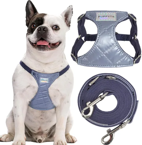 Vista 32 de Arnés sin tirones para perro, con correa multifunción, pechera suave y ajustable para mascota, no ahorca, chaleco a prueba de escape para perros