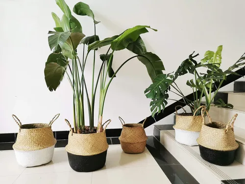 Vista 5 de DOKOT - Cesta de pasto marino con asas, cesta de tejido natural para plantas de interior, almacenamiento de lavandería