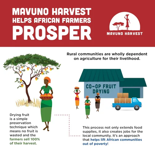 Vista 5 de Mavuno Harvest - Fruta seca 100% orgánica, 6 paquetes de 2 onzas de Jaca