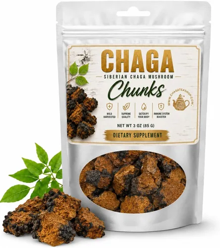 Trozos de hongos chaga siberianos cosechados salvajes 3 oz (85g)