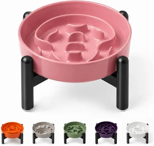 Vista 18 de Cuenco elevado para perros de alimentación lenta, 0.8 tazas de cerámica elevado con soporte inoxidable, cuenco elevado para perros de 6.3 pulgadas