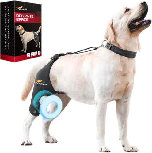 Rodillera para perro para pierna trasera desgarrada del ligamento cruzado anterior, soporte para luxación de rótula u osteoartritis, lesiones de