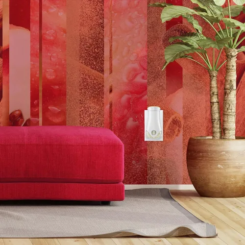 Vista 12 de Glade PlugIns - Repuestos de ambientador, aceites esenciales perfumados para el hogar y el baño, aroma Apple Cinnamon, 3.35onzas líquidas, 5unidades
