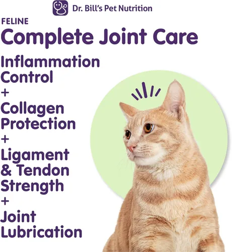 Vista 3 de Dr. Bill's Feline Complete Joint Care Suplemento avanzado para cadera y articulaciones para gatos Extracto de mejillón de labios verdes