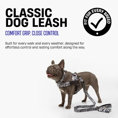 Vista 3 de Dog Friendly Co. Correa clásica para perro Sin tensiones, resistente a los golpes, evita sacudidas, mantiene el control Material impermeable