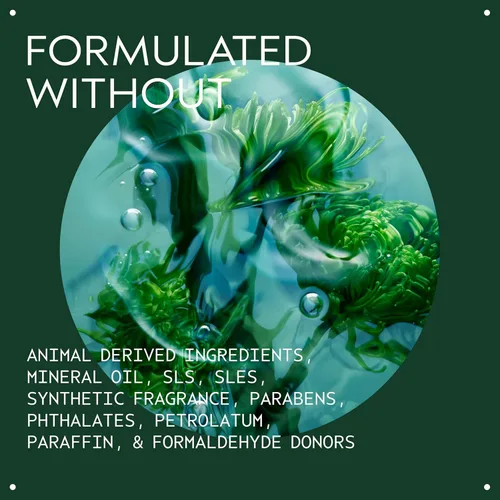 Vista 3 de Aveda Champú y acondicionador Pure-Formance para hombre 10 oz Duo set