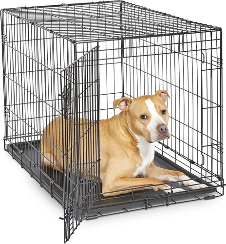 Vista 8 de Jaula de metal para perros, con puerta simple o doble, plegable de New World, Puerta única, 24 - pulgadas, Negro
