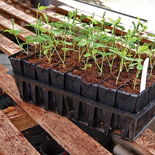 Vista 2 de Deep Rootrainers Kit - Kit de propagación de semillas y corte (32 celdas, 5 pulgadas de profundidad)