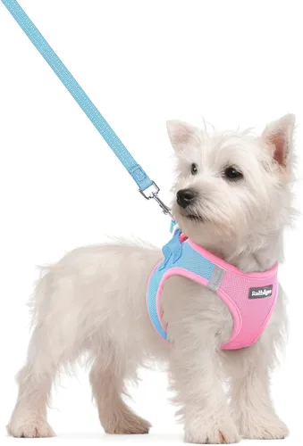 Vista 107 de rabbitgoo Juego de arnés para perro, tamaño pequeño y correa, chaleco ligero suave para cachorro, arnés de malla transpirable para mascotas, Negro