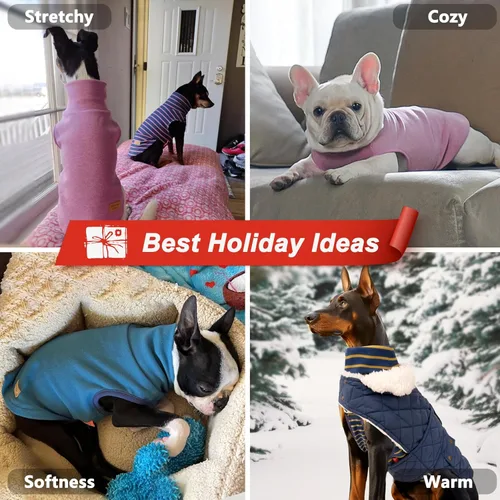 Vista 3 de KYEESE Paquete de 2 suéteres para perro, abrigo para mascotas, cuello alto, ropa elástica para perros, suéteres súper suaves para perros pequeños