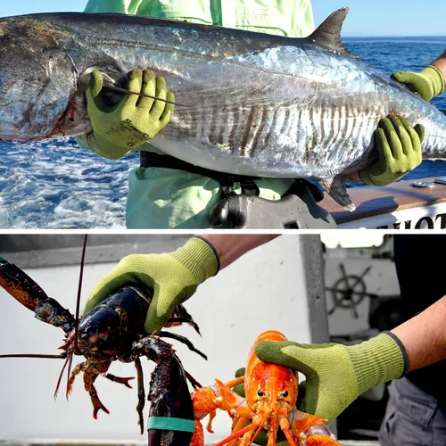 Vista 5 de Schwer 2 pares de guantes de pesca resistentes a cortes A7, pantalla táctil Verde militar