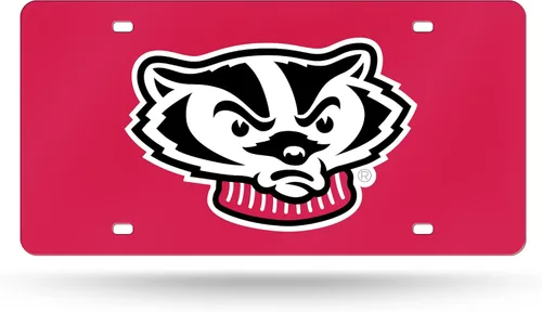 Vista 21 de Rico Industries Placa de matrícula de metal con incrustaciones láser de Florida Gators de la NCAA