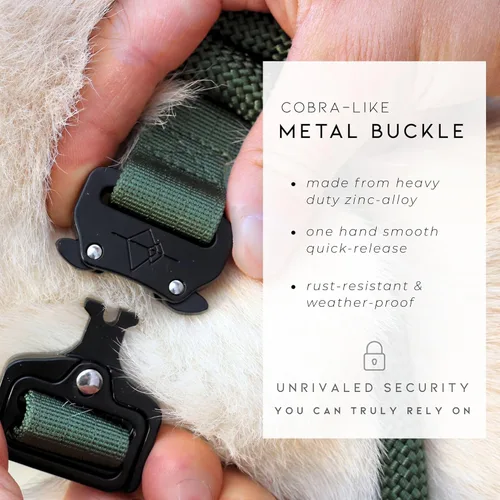 Vista 4 de MADE TO ROAM - Collar para perro de alta calidad, collar ajustable de nailon resistente con hebilla metálica de liberación rápida