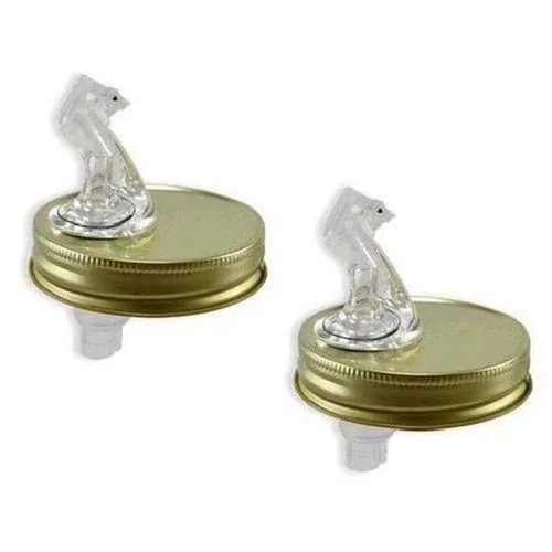Tarro Mason Pouring Spout Regular Jar Tamaño 2 Pack (con aleta)