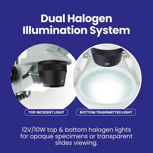 Vista 5 de AmScope Microscopio estéreo binocular delantero SE306R-PZ, oculares WF10x y WF20x, aumento 10X-80X, objetivos 2X y 4X, fuente de luz halógena