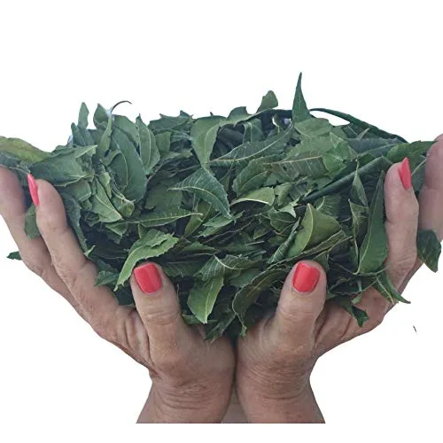 Hojas orgánicas de neem | TODAS las frescas cosechadas silvestres secas de primera calidad | 5 onzas para té, desintoxicación natural de EE. UU