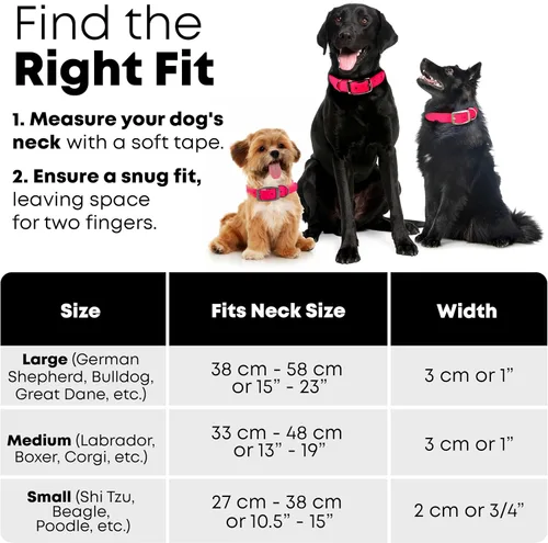 Vista 2 de Regal Dog Products Collar de perro grande rosa reflectante con placa de nombre personalizada grabada Collares de perro personalizados impermeables